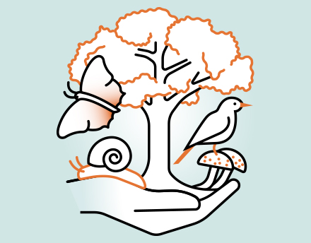 Biodiversity Biodiversity Science; from evolution to ecosystem